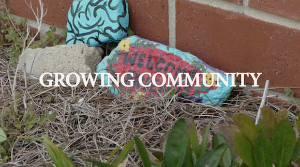 Featured Image for “Growing Community” by UNCG senior Sydney Vigotov Earns Top Film Honors